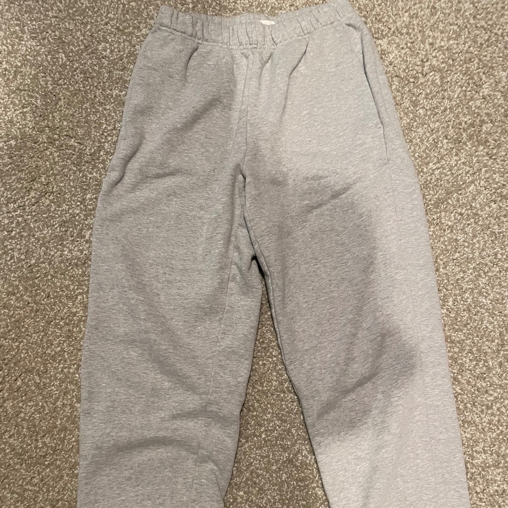 Aritzia joggers by Wilfred